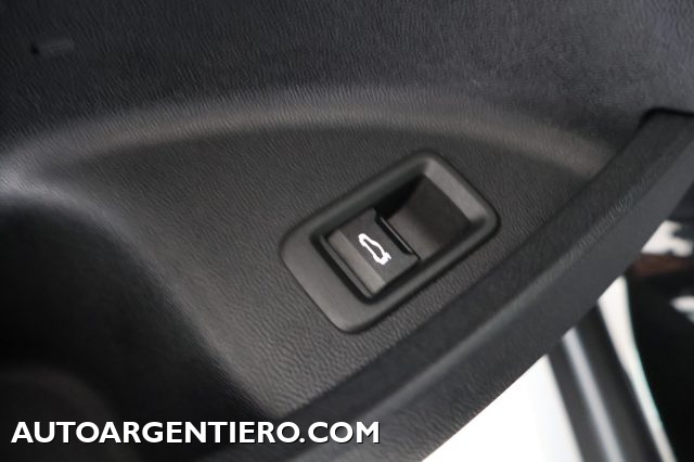 MINI Countryman usata, con Autoradio