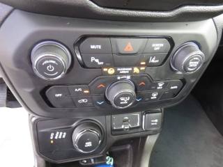 JEEP Renegade usata, con Chiusura centralizzata