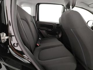 FIAT Panda usata, con Vivavoce