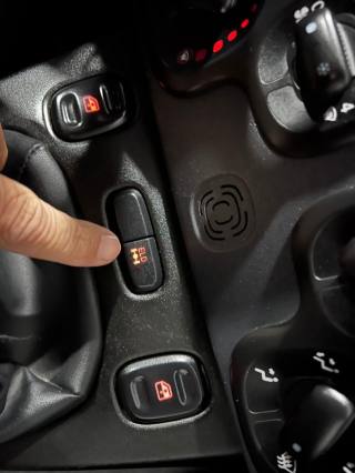 FIAT Panda usata, con Controllo trazione