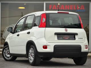 FIAT Panda usata, con Climatizzatore