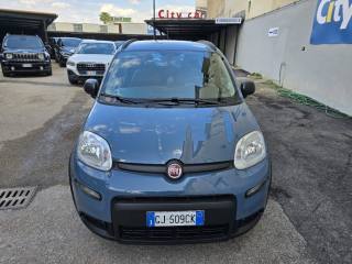 FIAT Panda usata, con Airbag Passeggero