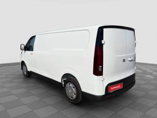 MAXUS Other usata 2
