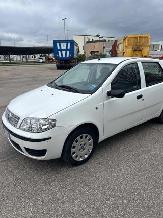 FIAT Punto usata 3