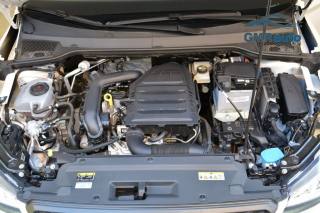 SEAT Arona usata, con Fendinebbia