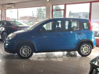 FIAT Panda usata, con Frenata d