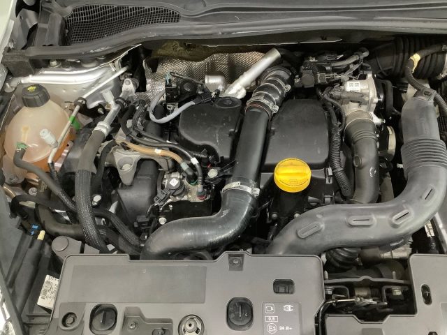 RENAULT Clio usata 22
