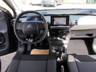 CITROEN C4 Cactus usata, con Cronologia tagliandi