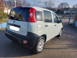 FIAT Panda usata 4