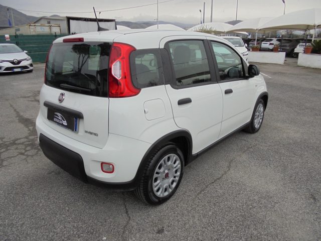 FIAT Panda usata 14