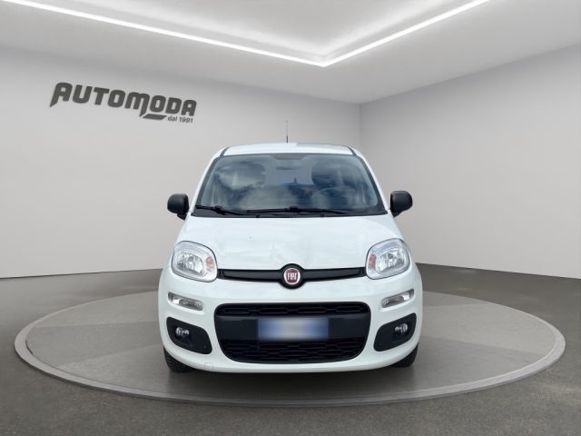 FIAT Panda usata 1