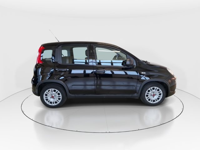 FIAT Panda usata, con Controllo trazione