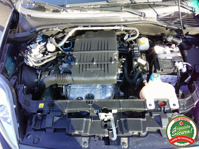 FIAT Punto usata 13