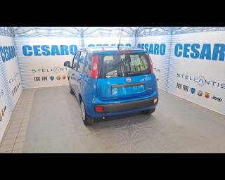 FIAT New Panda usata, con Airbag Passeggero