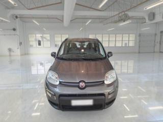 FIAT Panda usata, con Controllo trazione