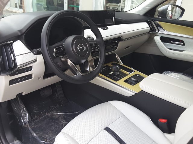 MAZDA CX-60 usata, con Climatizzatore