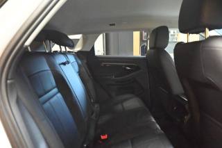 LAND ROVER Range Rover Evoque usata 119