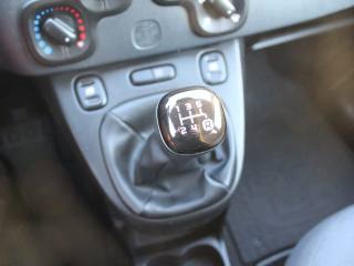 FIAT Panda usata, con Luce d