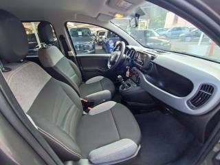 FIAT Panda usata, con Fendinebbia