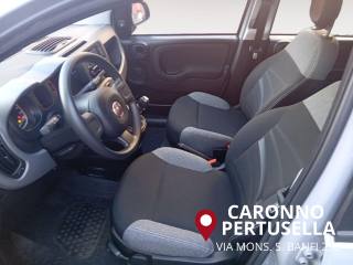 FIAT Panda usata, con ESP