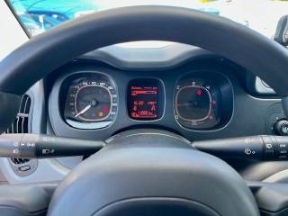 FIAT Panda usata 17