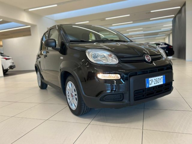 FIAT Panda usata, con Immobilizzatore elettronico