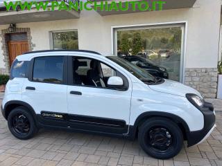 FIAT Panda usata, con Alzacristalli elettrici