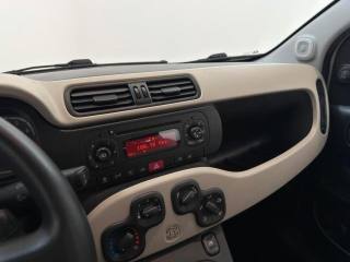 FIAT Panda usata, con Fendinebbia