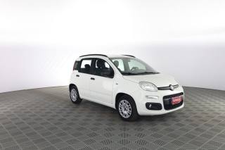 FIAT Panda usata 1