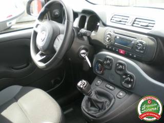 FIAT Panda usata, con Immobilizzatore elettronico