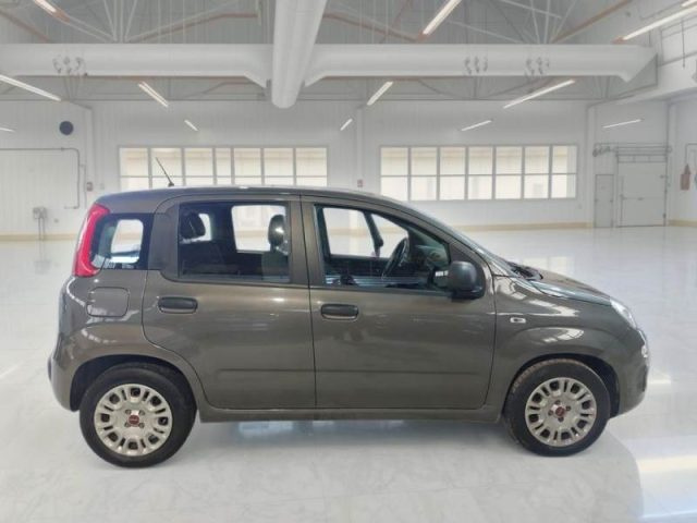 FIAT Panda usata, con Controllo trazione