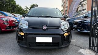 FIAT Panda usata, con Airbag Passeggero