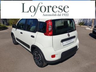 FIAT Panda usata, con Antifurto