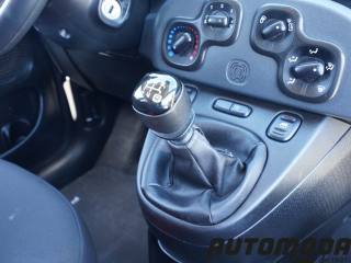 FIAT Panda usata 11