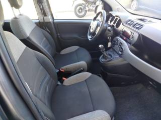 FIAT Panda usata 15