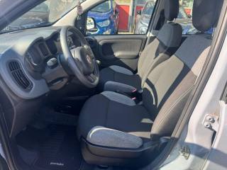 FIAT Panda usata, con Chiusura centralizzata