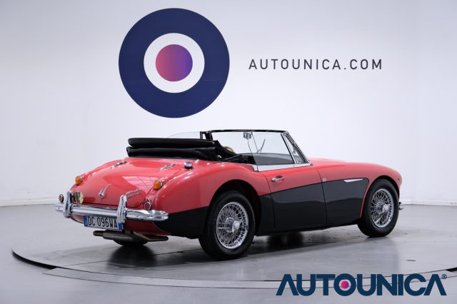 AUSTIN Healey usata 14