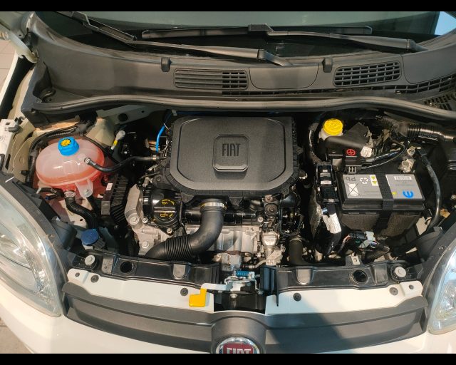 FIAT New Panda usata 16