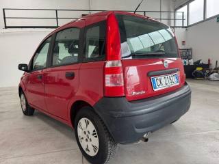 FIAT Panda usata 6
