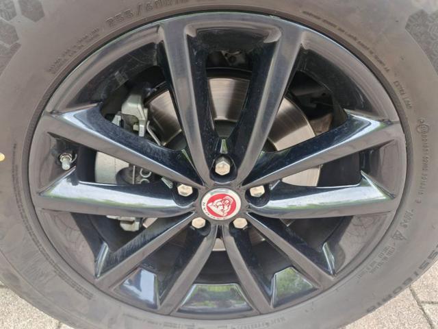 JAGUAR F-Pace usata, con Cronologia tagliandi