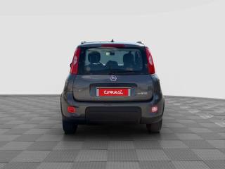 FIAT Panda usata 3