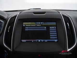 FORD Edge usata 14