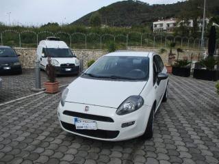FIAT Punto 1.4 8v 5 porte Easypower Street