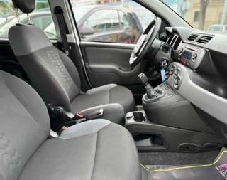 FIAT Panda usata, con Fendinebbia