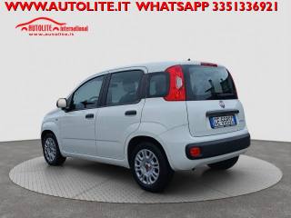 FIAT Panda usata, con Airbag Passeggero