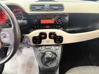 FIAT Panda usata 19