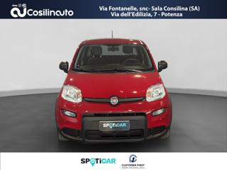 FIAT Panda usata, con Cerchi in lega