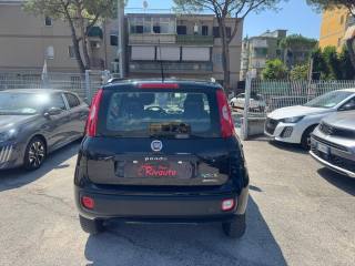 FIAT Panda usata, con Antifurto