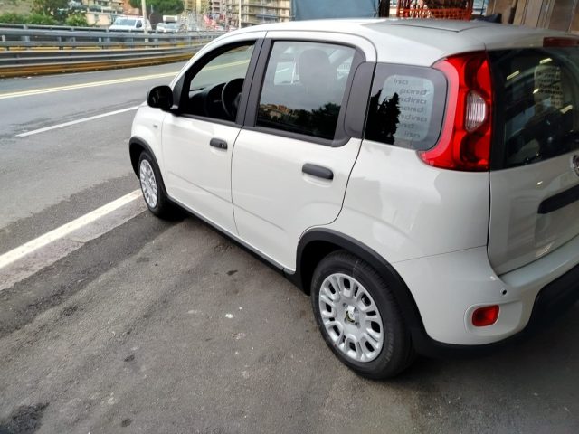 FIAT Panda usata, con Airbag Passeggero