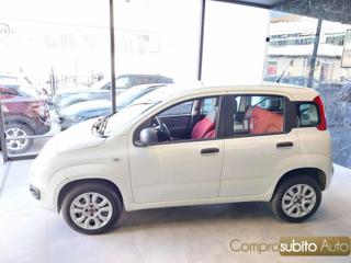 FIAT Panda usata 9